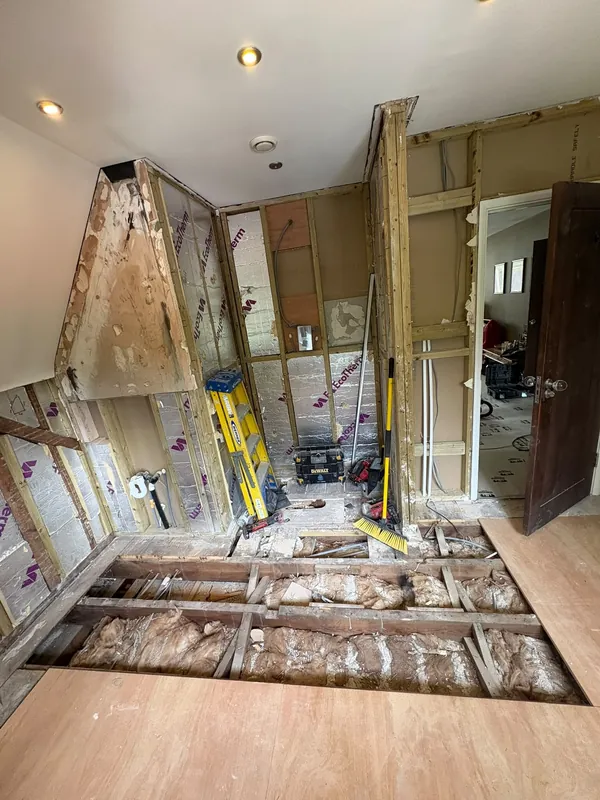 Strip-out with insulation and new plywood
